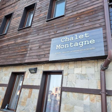 Chalet Montagne Bansko Apartment Esterno foto